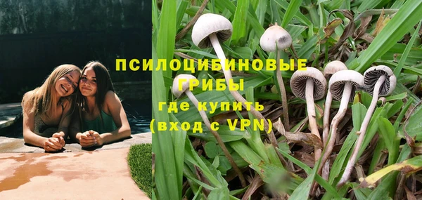 гидра Пересвет