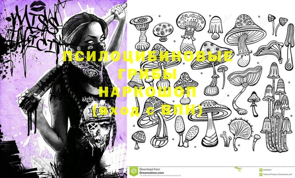 метадон Пестово