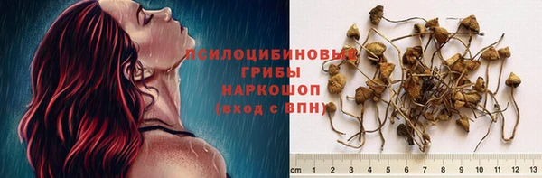 ALPHA-PVP Остров